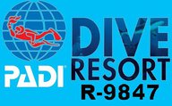 a0cf085571-PADI LOGO IRRA